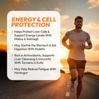 Liver Detox Syrup – Ayurvedic Liver Cleanser – 200ml