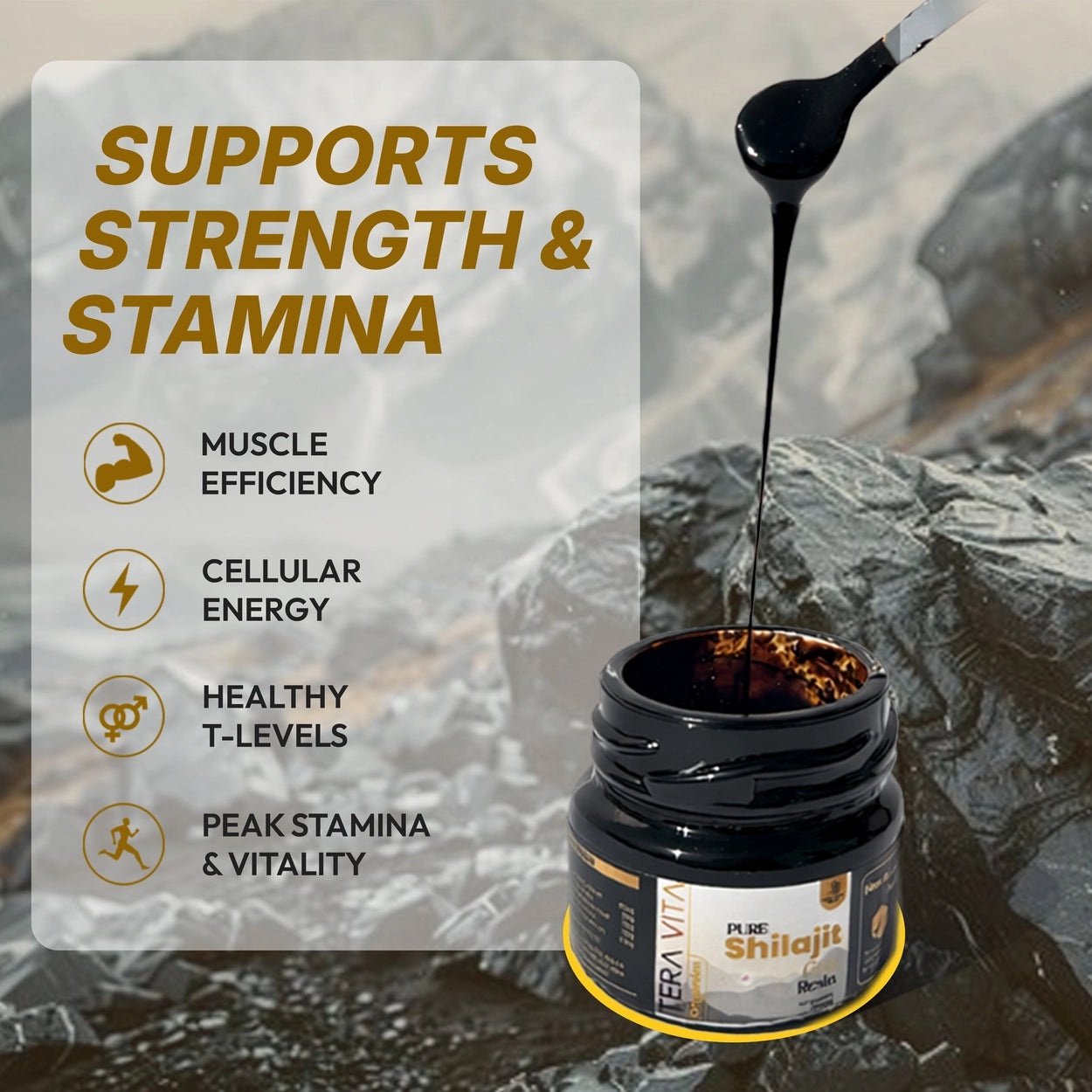 Pure Himalayan Shilajit Gold Resin with Gold Bhasam – 20g