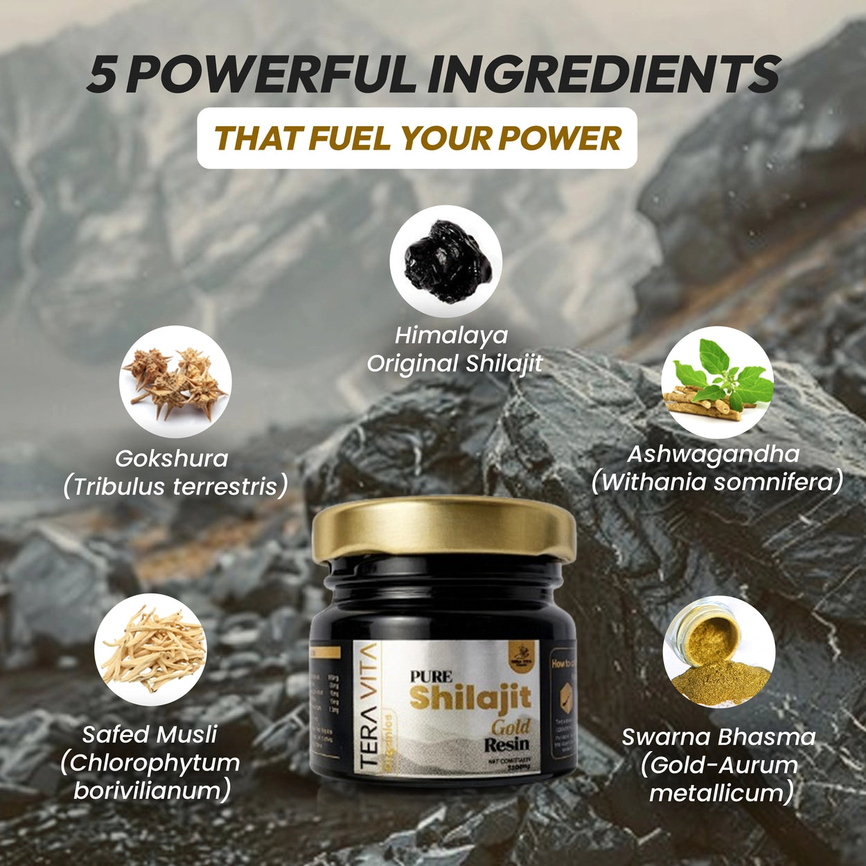 Pure Himalayan Shilajit Gold Resin with Gold Bhasam – 20g