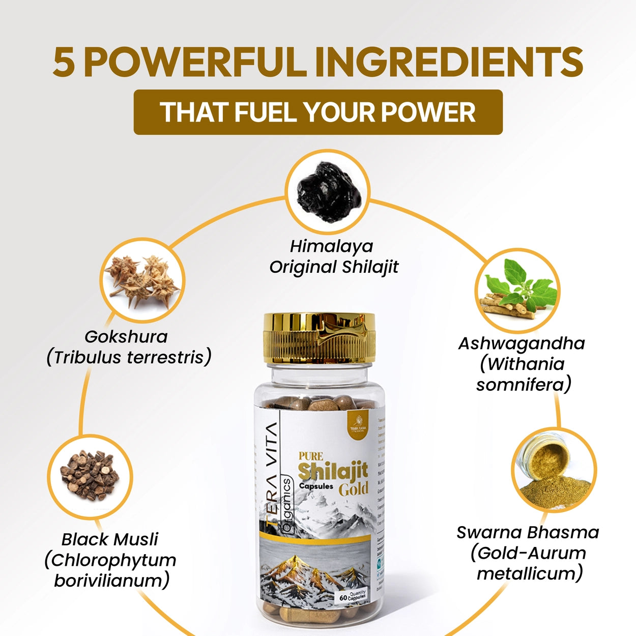 Pure Himalayan Shilajit Gold Capsules with Gold Bhasam – 60 Capsules